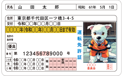 Japanese Driver's License