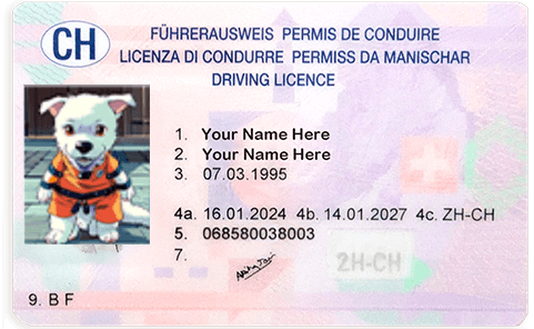Germany Driver's License